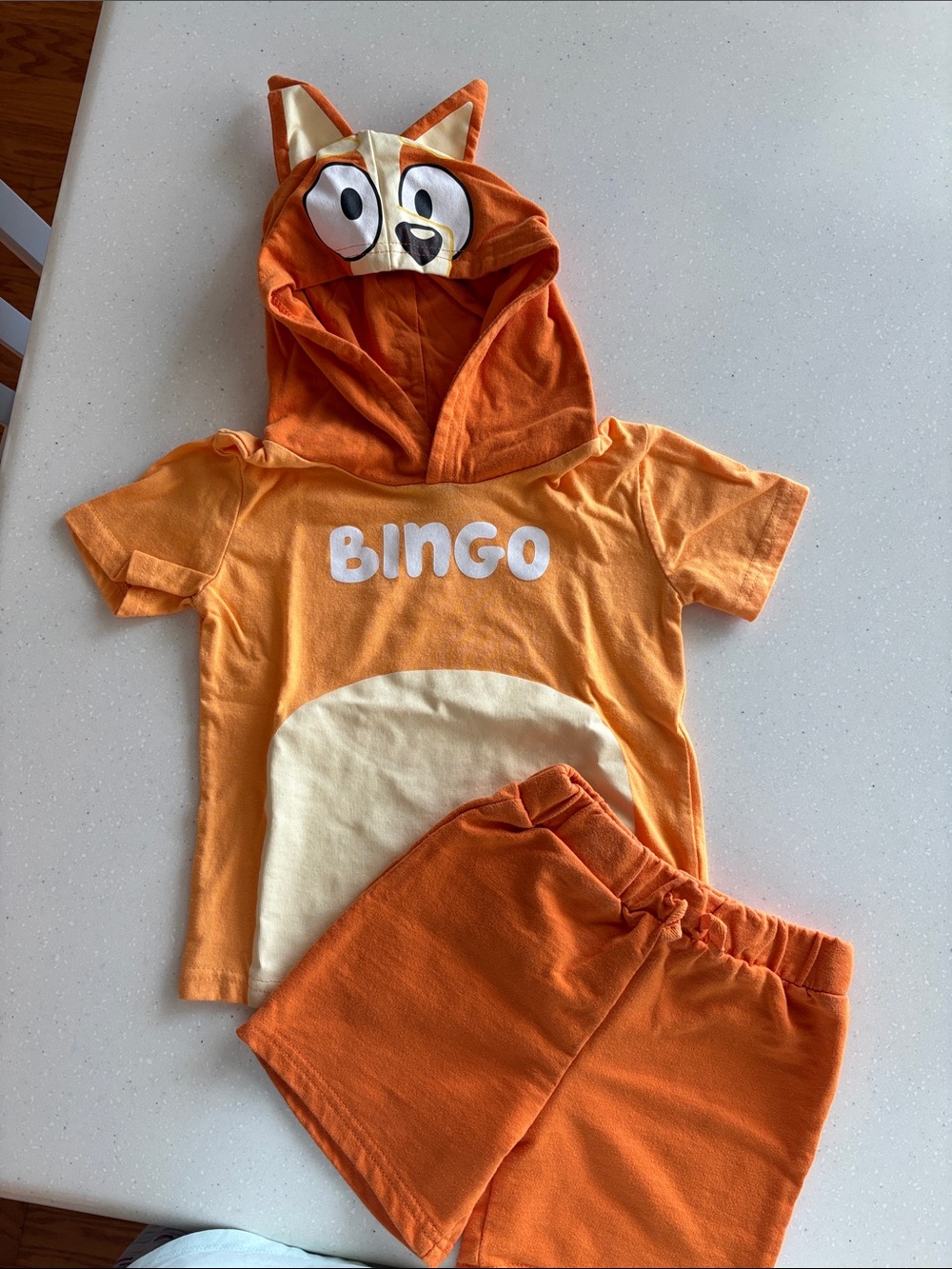 Bingo Orange Hooded Tee & Shorts Set